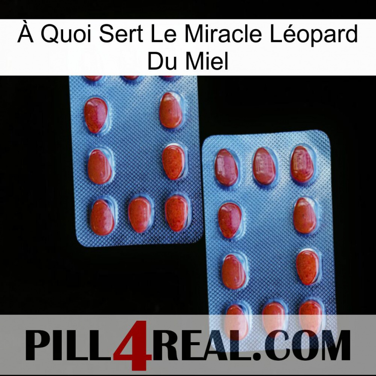 À Quoi Sert Le Miracle Léopard Du Miel 05